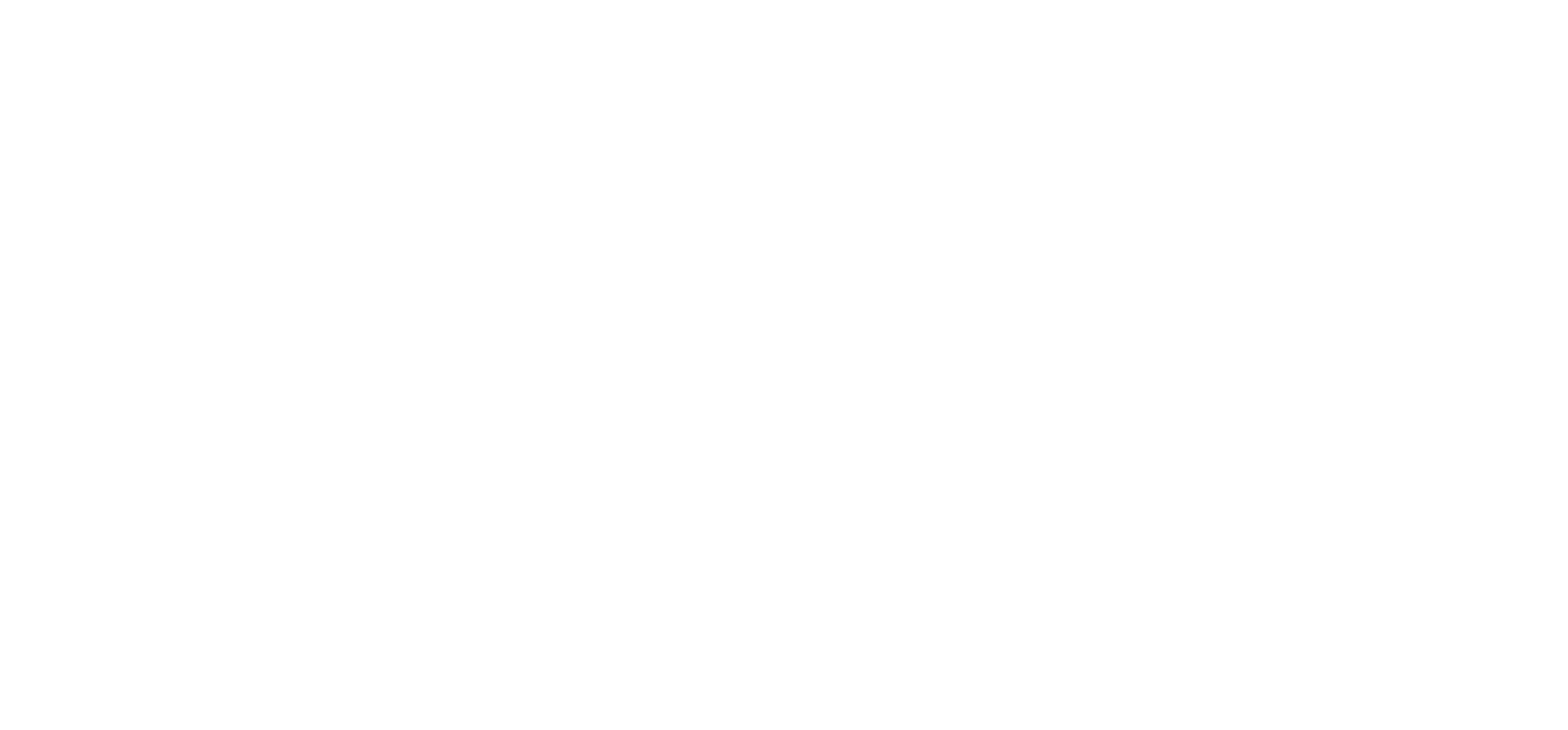 Ticket Plus